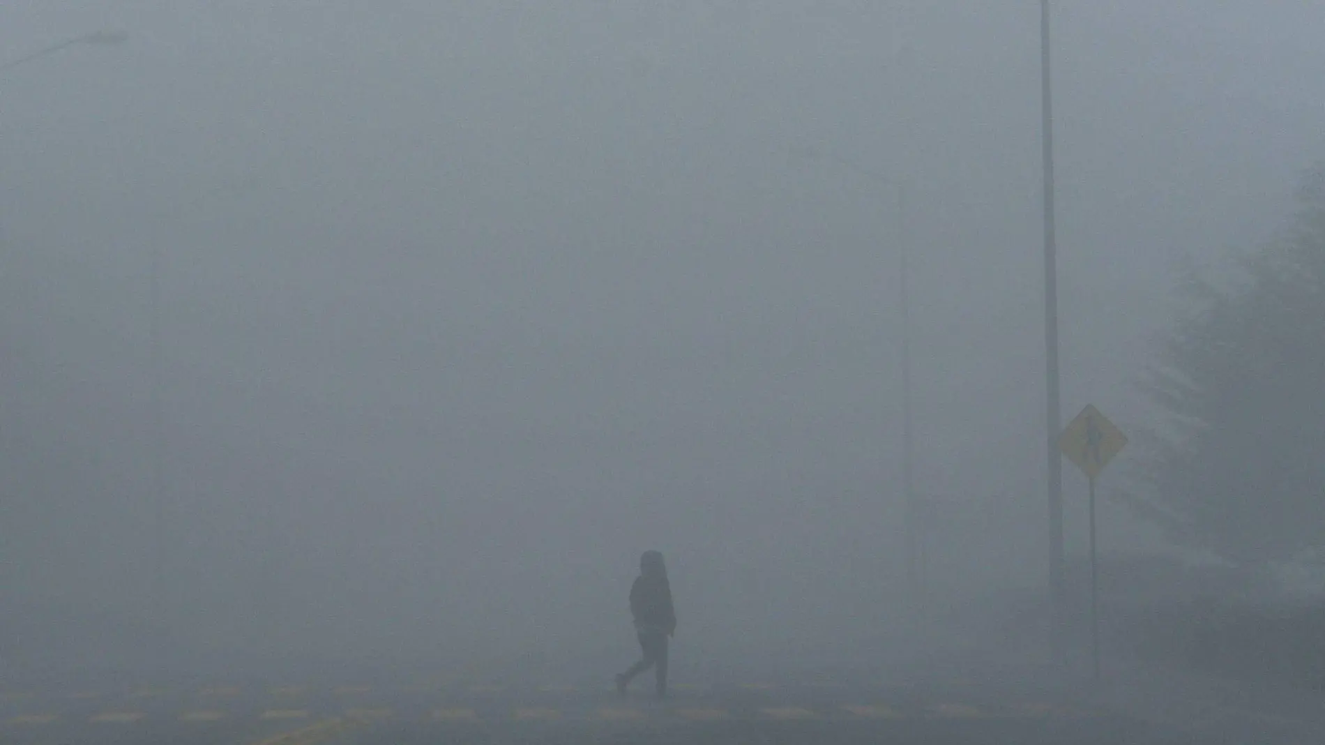 883386_Neblina en carretera -1_web